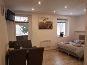 Apartamenty u Sikory